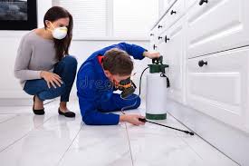 Best Bed Bug Extermination  in Murphys, CA